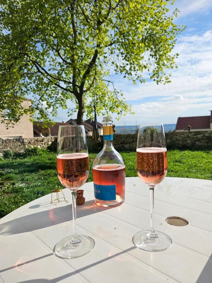 Lodge De La Vigneronne Chatillon-sur-Marne Ngoại thất bức ảnh